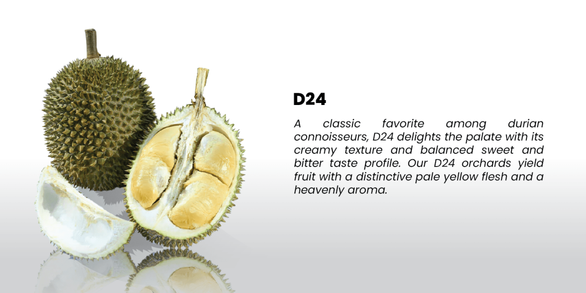 Durian Slide-01