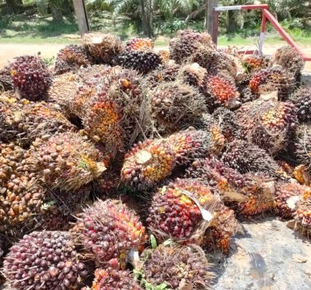 WhatsApp Image 2022-01-27 at 13.30.29 (1)